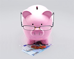 Sparschwein mit Brille auf Geldscheinen stehend