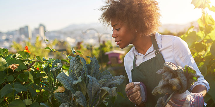 Eine Frau mit Gartenhandschuhen und Schürze steht in einem Gemüsebeet und begutachtet die Pflanzen.