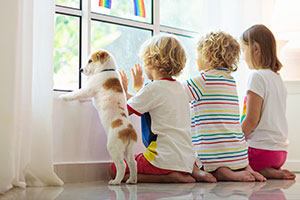 Drei Schulkinder und ein Hund sitzen vor einem Fenster und schauen nach draußen. An dem Fenster befindet sich ein gebastelter Regenbogen.