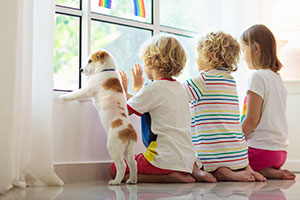 Drei Schulkinder und ein Hund sitzen vor einem Fenster und schauen nach draußen. An dem Fenster befindet sich ein gebastelter Regenbogen.