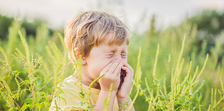 Allergien: Medikamente und Therapien steuerlich absetzen Ein kleiner Junge steht im Feld, ist von Gräsern umringt und muss nießen.