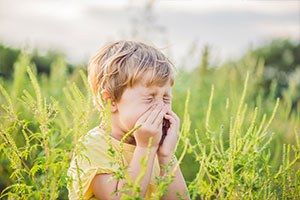 Ein kleiner Junge steht im Feld, ist von Gräsern umringt und muss nießen.