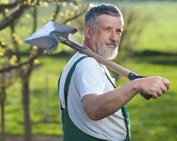 Einkommensteuer Rentensteuer - Gartenarbeiten