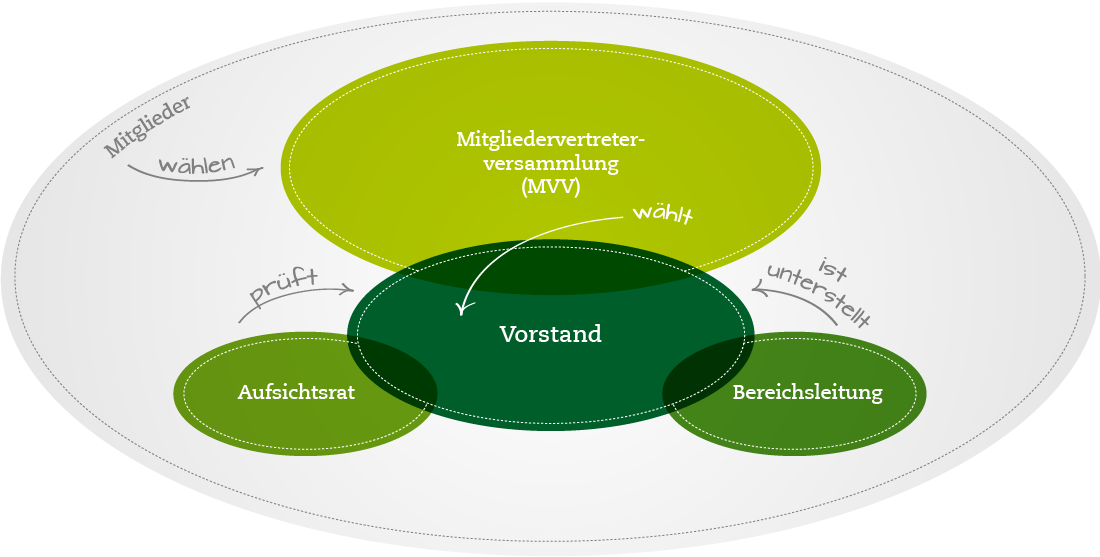 Vereinsstruktur