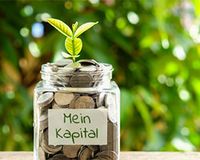 Günstigerprüfung: alle Kapitalerträge angeben. Aus einem Glas, voll mit Geldstücken, wächst eine Pflanze.