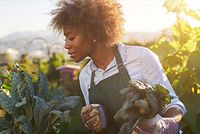 Haushaltsnahe Dienstleistungen und Handwerkerleistungen in der Steuererklärung absetzen Eine Frau mit Gartenhandschuhen und Schürze steht in einem Gemüsebeet und begutachtet die Pflanzen.