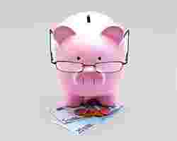 Sparschwein mit Brille auf Geldscheinen stehend